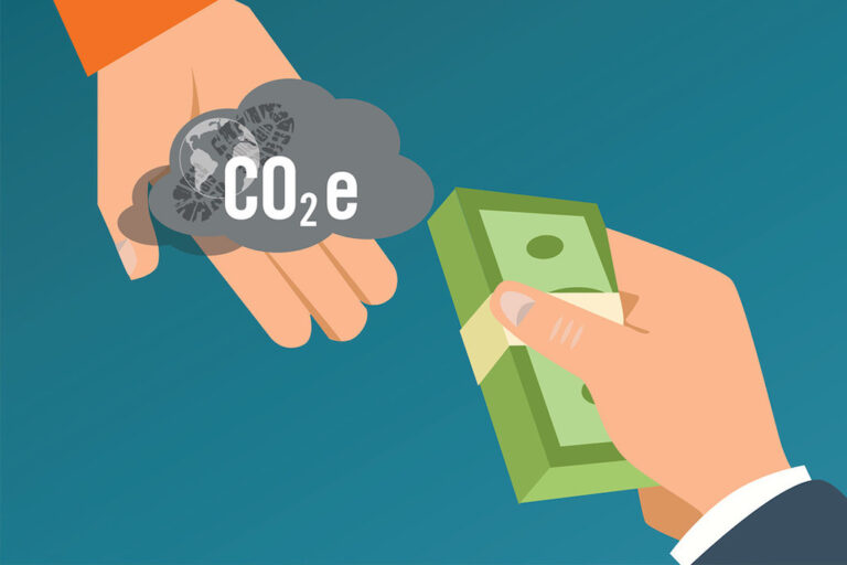 The Polluter Pays Principle