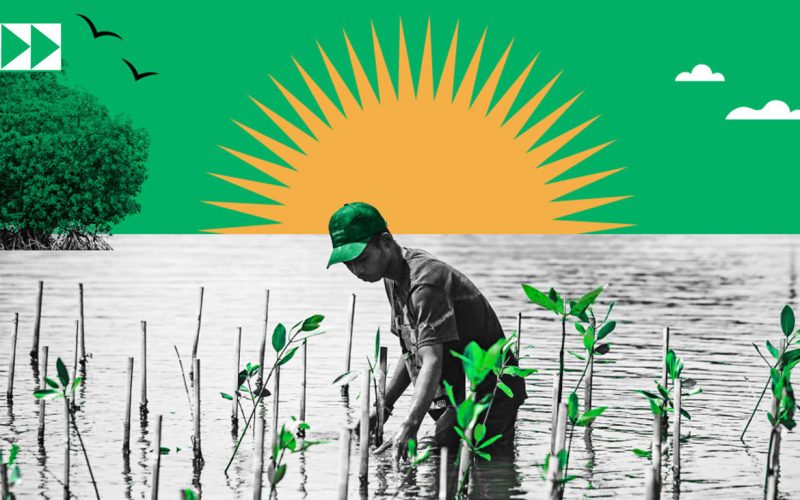 adaption-narrow-page-header