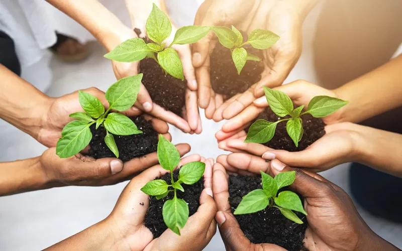 environment-sustainability2